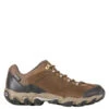 Oboz Men's Bridger Low B-Dry Canteen Brown
